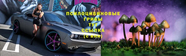 ГАЛЛЮЦИНОГЕННЫЕ ГРИБЫ Абдулино