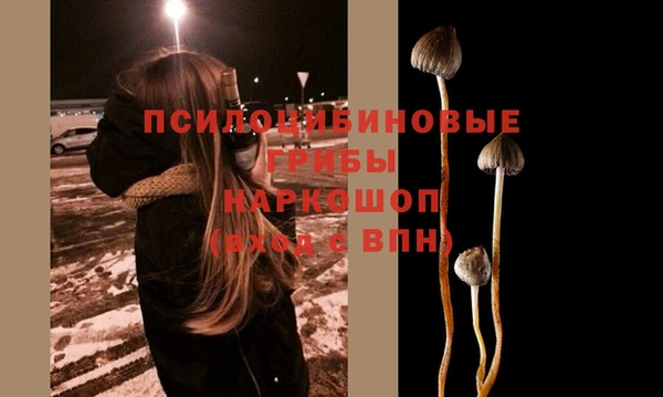 винт Абинск