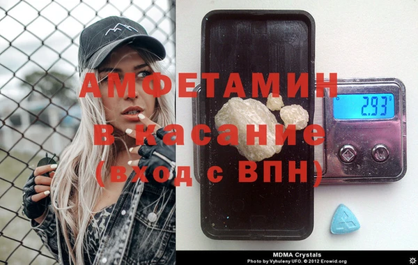 прущие грибы Саяногорск