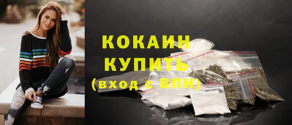тгк Абаза