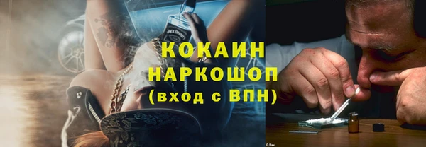 прущие грибы Саяногорск