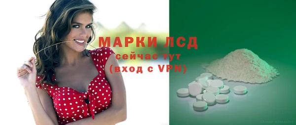тгк Абаза