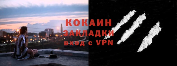 прущие грибы Саяногорск