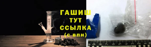 прущие грибы Саяногорск