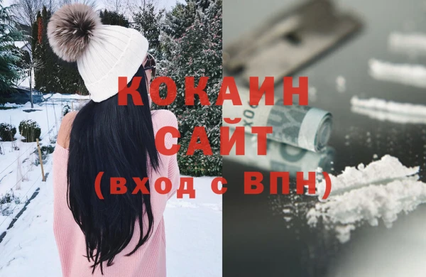 стафф Алексин