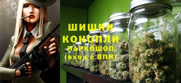 тгк Абаза