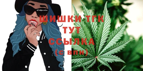 прущие грибы Саяногорск