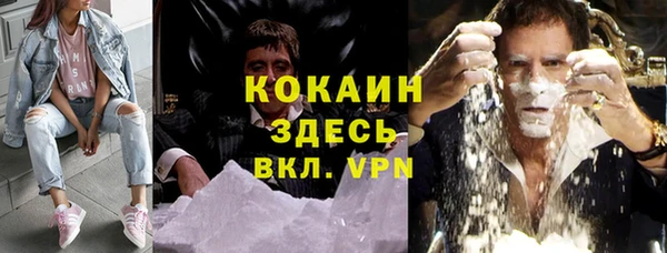 прущие грибы Саяногорск
