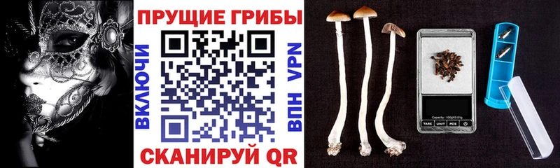 Псилоцибиновые грибы Magic Shrooms  наркота  Котово 